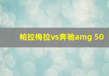 帕拉梅拉vs奔驰amg 50